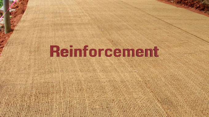 Manufacturing Process